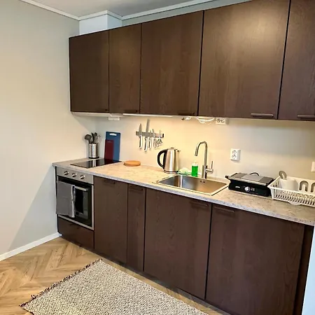 Modern 105 Apartment *